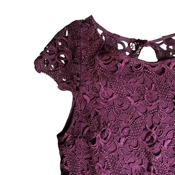 Alice + Olivia Burgundy Lace Dress XS Sheath Open Back Scallop Party Cocktail - Picture 3 of 14